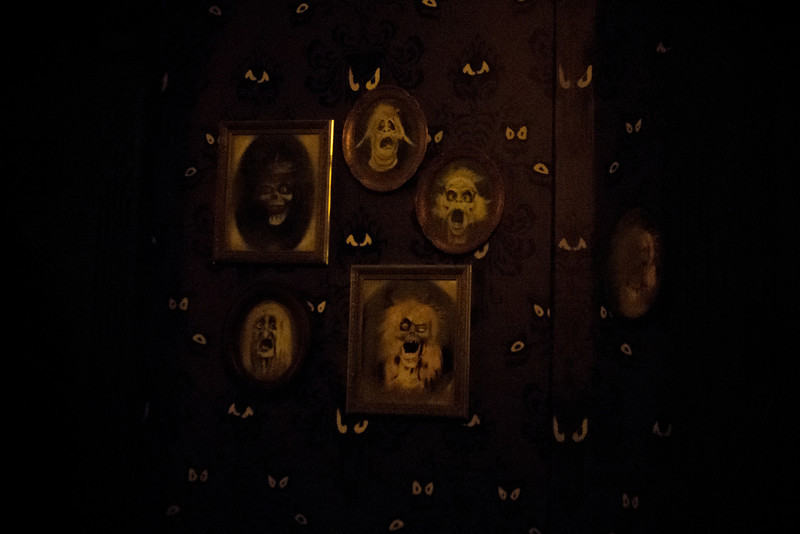 DSC_1408-L.jpg