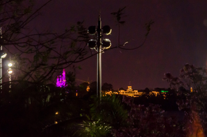 DSC2812-L.jpg