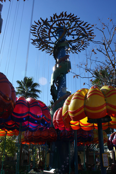 IMG9862-L.jpg