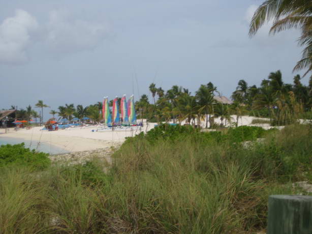 IMG_5395.JPG