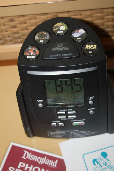 IMG9701-L.jpg