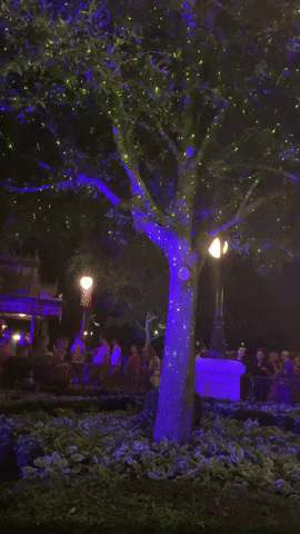 giphy.gif