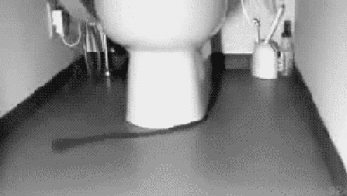 tumblr_lpioj5fO9u1qikvzso1_500.gif