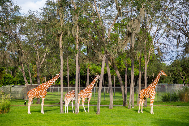 DSC_2059-L.jpg