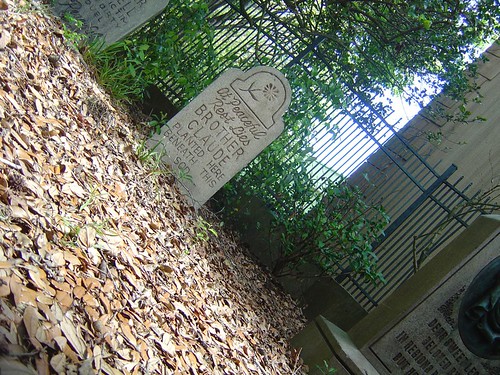 156898500_0f279ed914.jpg