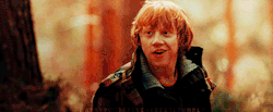 tumblr_lrwe08kLdg1r0xyi2o2_250.gif