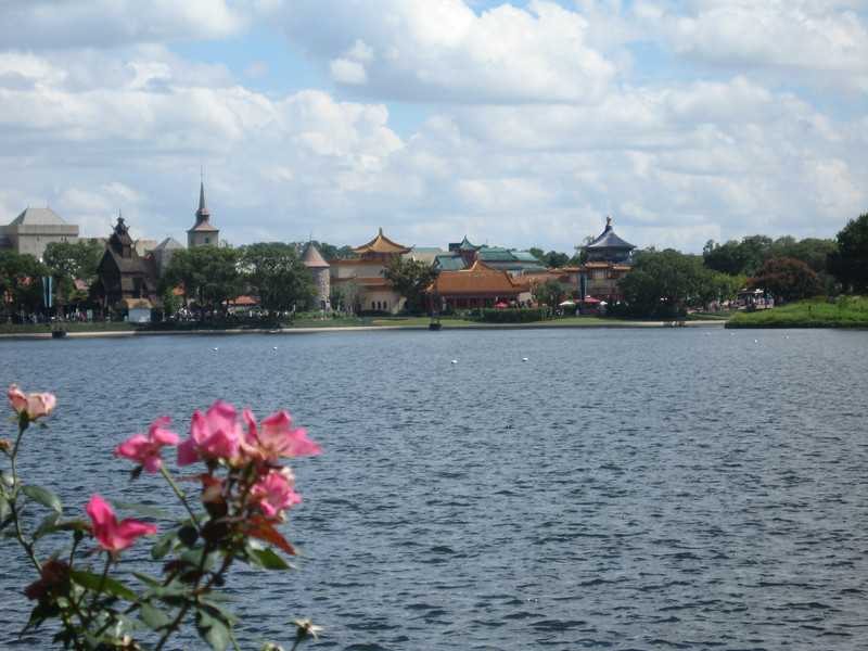 WDW%20135-L.jpg