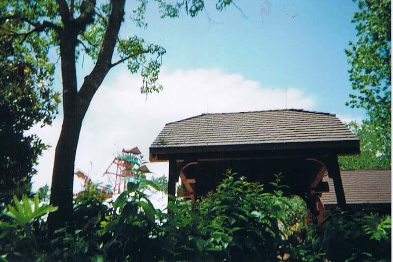 Top-4.jpg