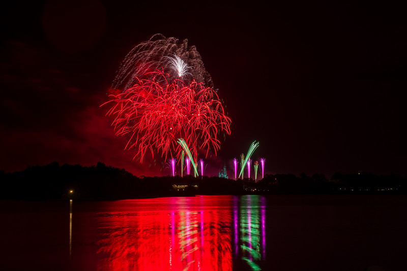 DSC_1558-L.jpg