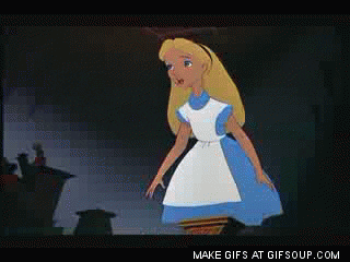 giphy.gif