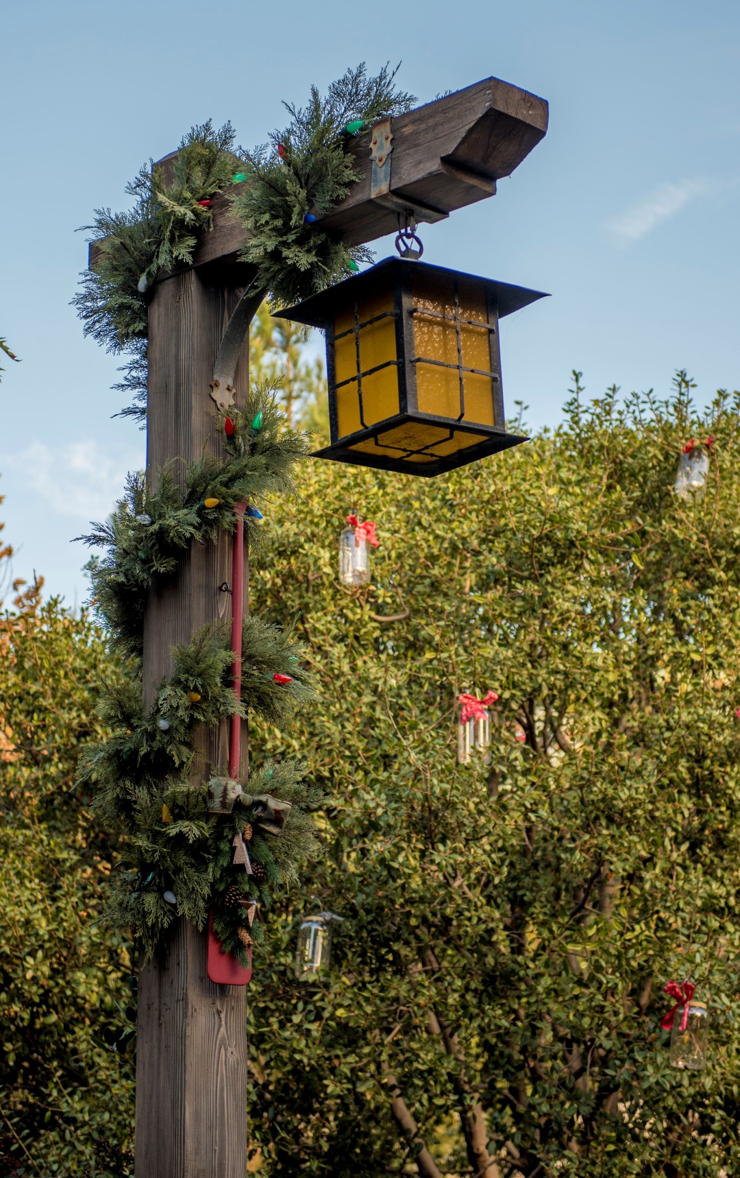 DSC_2909%20(Large).jpg