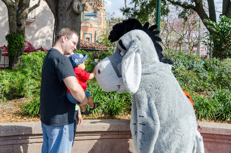 DSC1992-L.jpg