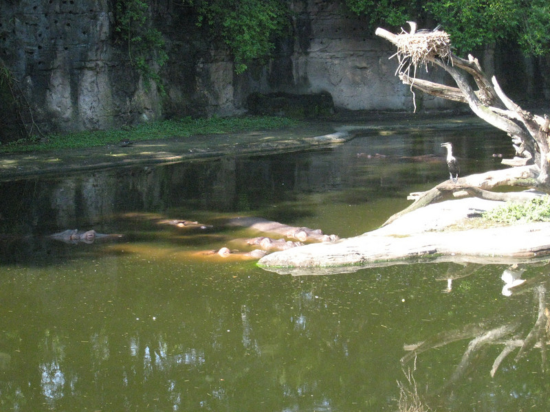 322077149_yhTgS-L.jpg