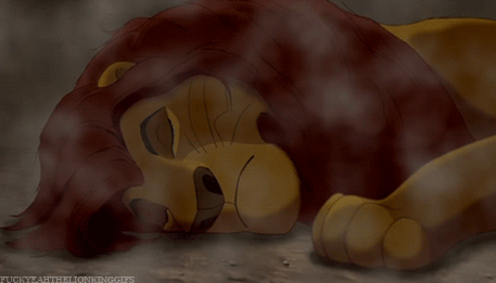 tumblr_lidsh5Q34Z1qghkx5o1_r2_500.gif