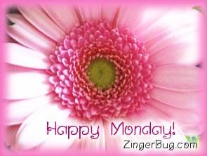 happy_Monday_pink_flower.jpg