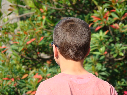 2501520627_1af256ceaf.jpg