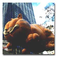 garfield.jpg