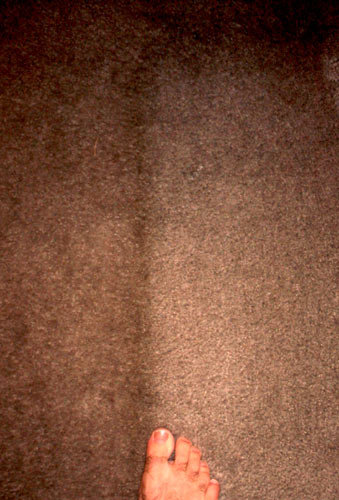 carpet.jpg