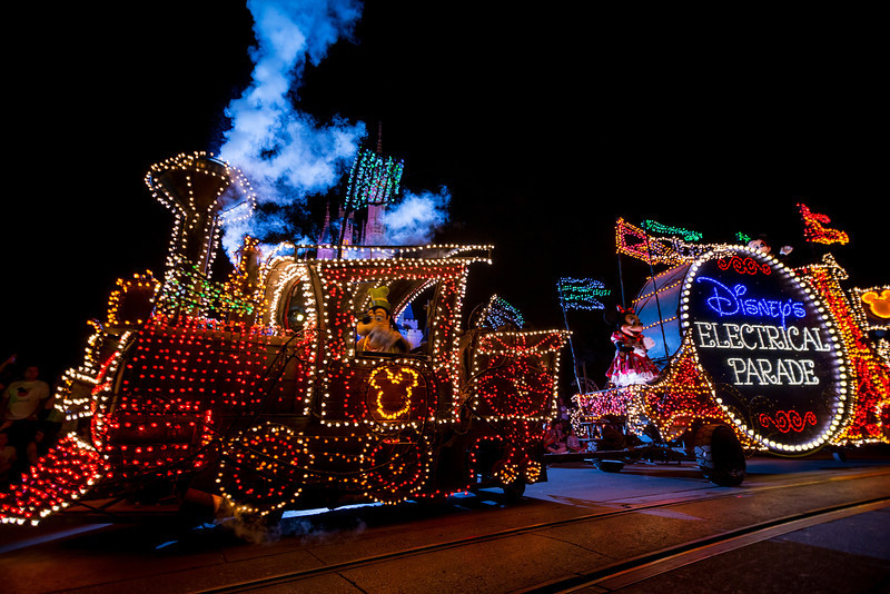 DSC_1551-L.jpg