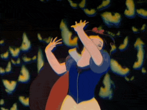 tumblr_mt4qrpvFe51srfy5lo1_500.gif