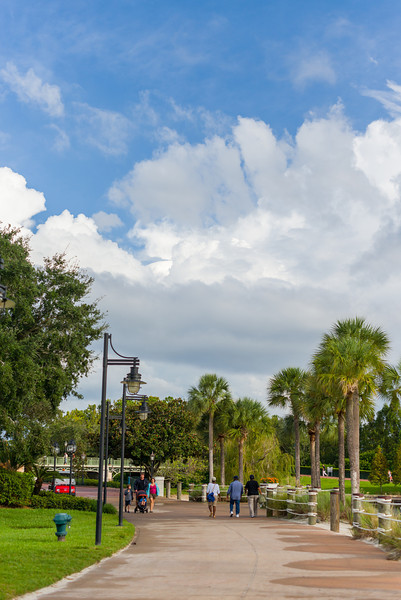 DSC_0399-L.jpg