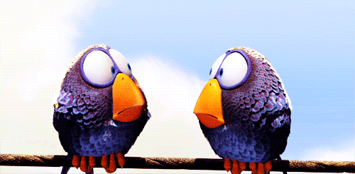 tumblr_lp1agpujl51qcftw3o1_500.gif