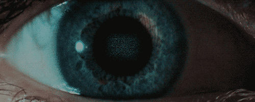 tumblr_lbbteuWw7a1qd3lh1o1_500.gif