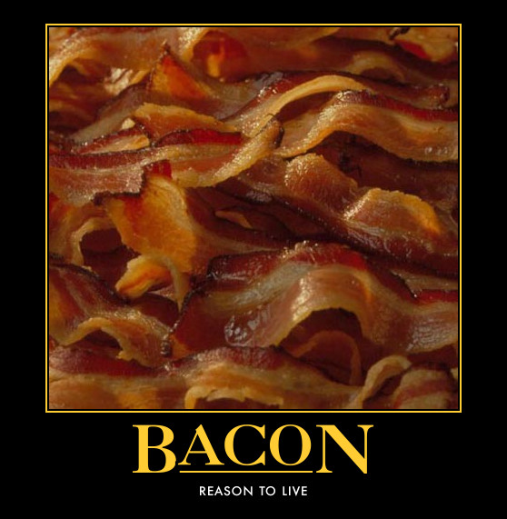 bacon01.jpg