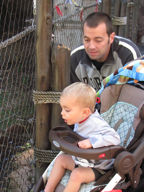 6801675903_9abeb62df2_z.jpg
