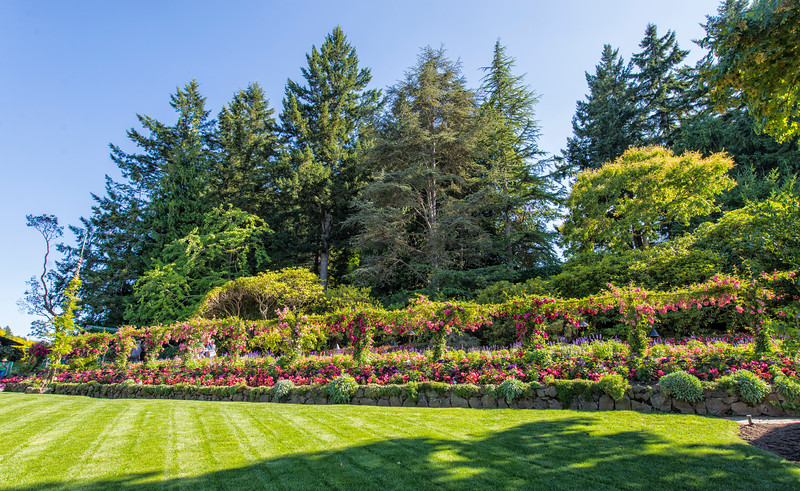 DSC_2807-L.jpg