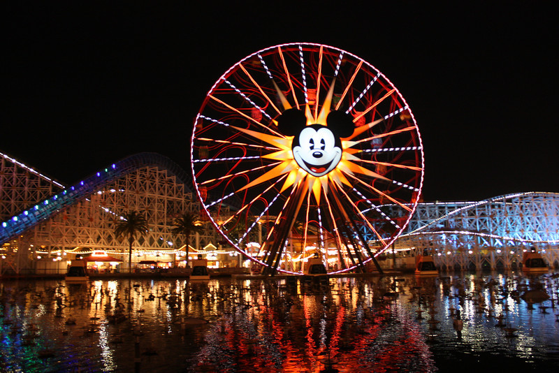 IMG0384-L.jpg