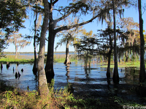 Lake_Russell_2.jpg