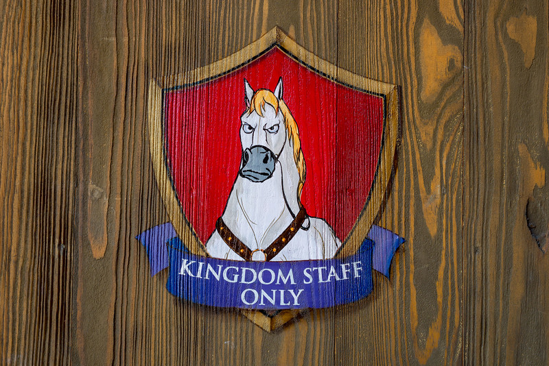DSC_3083-L.jpg