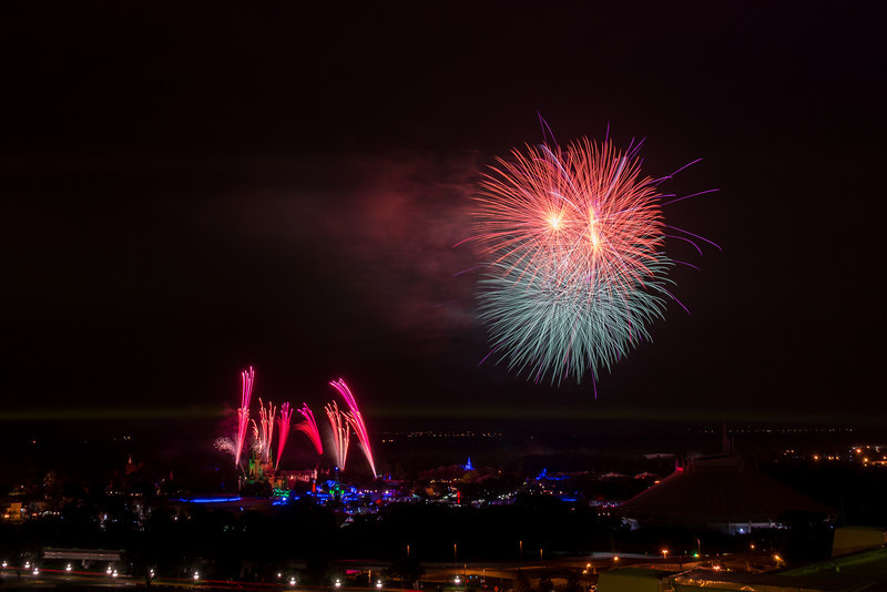 DSC_0067-L.jpg
