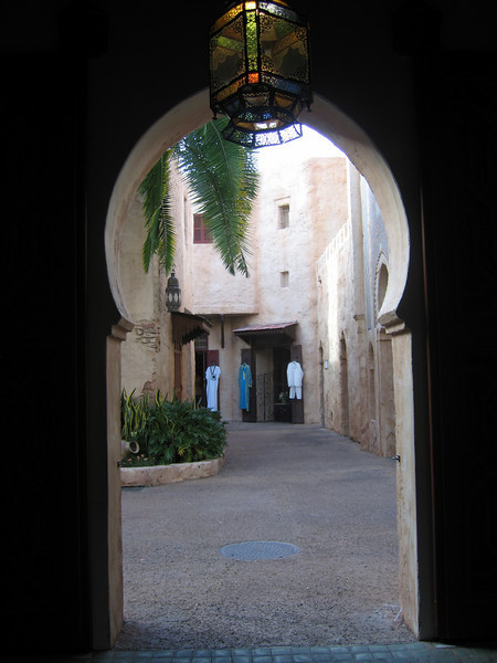 428027877_AtFea-L-1.jpg