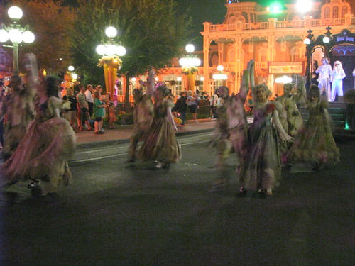 2870245520_484ff18879.jpg