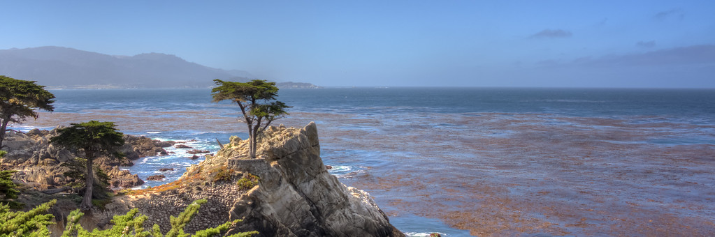 _DSC3638_39_40_tonemapped-XL.jpg