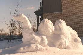 snow+camel.jpg