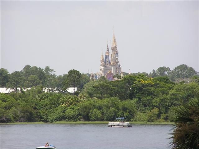 P1010175.JPG