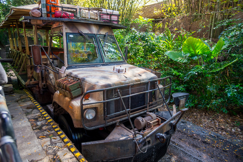DSC_7873-L.jpg