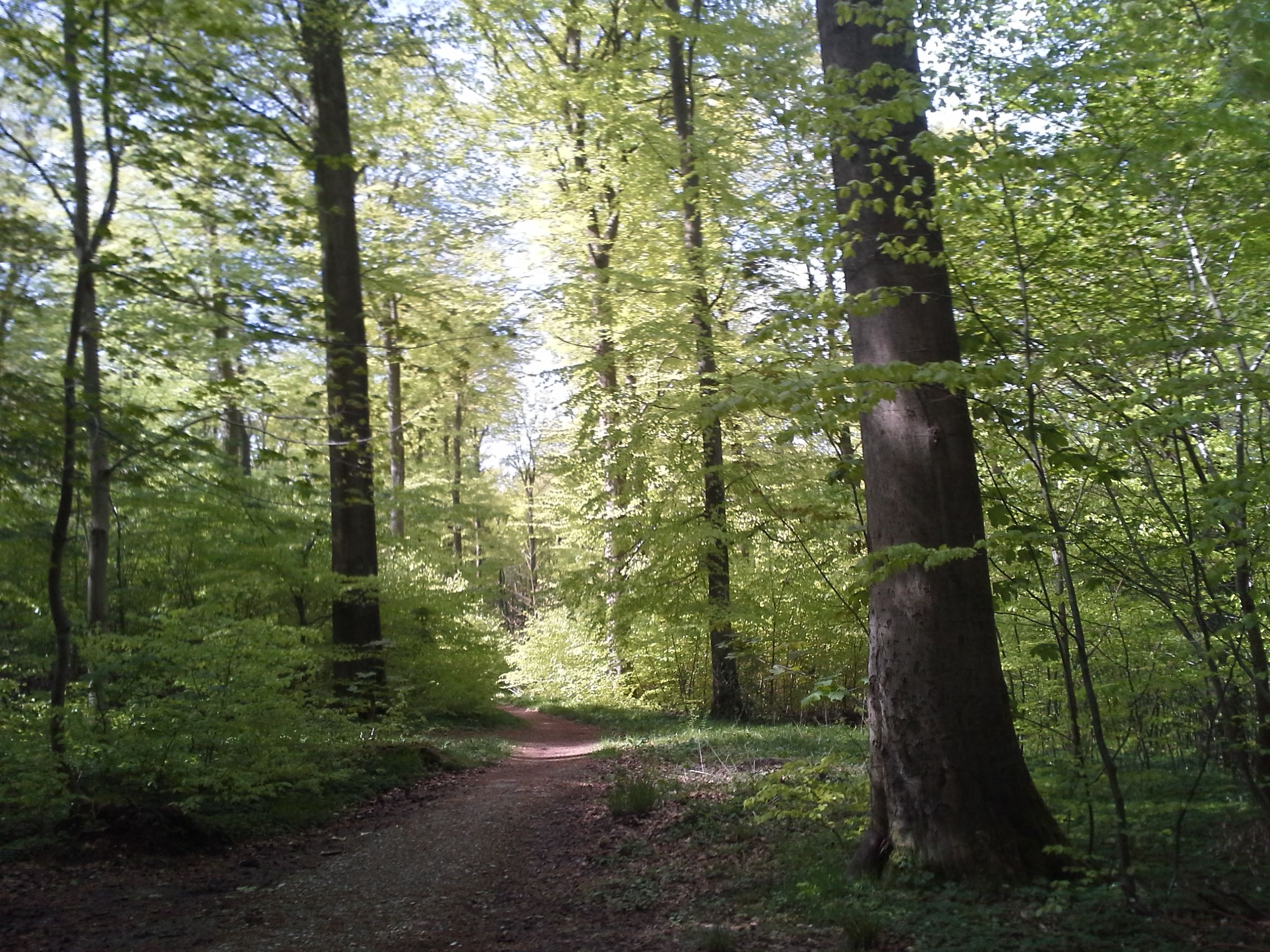 20150508-110224-2.jpg
