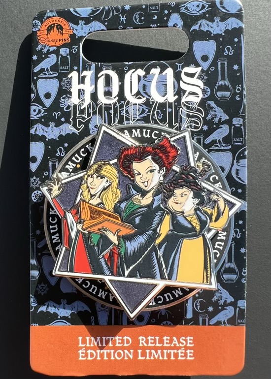 Hocus Pocus 2022 Spinner Pin