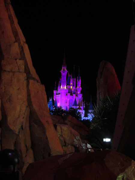 IMG_2584-L.jpg