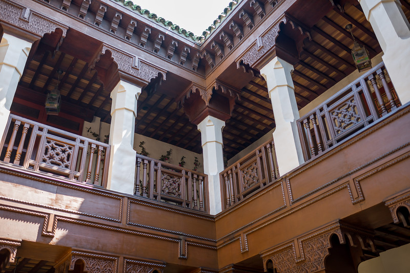 DSC_9481-L.jpg