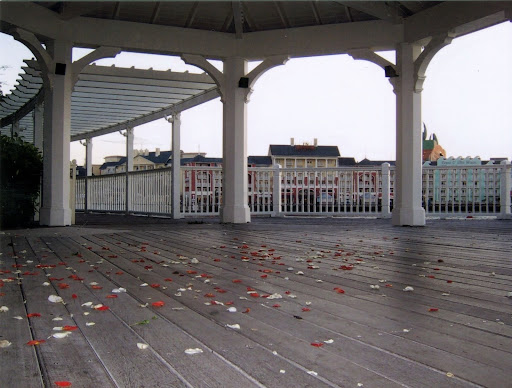 Photo~17.jpg