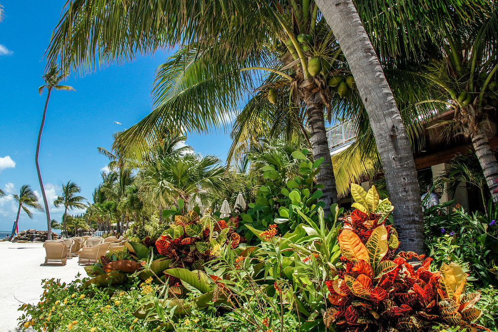 floridakeys%20250-XL.jpg