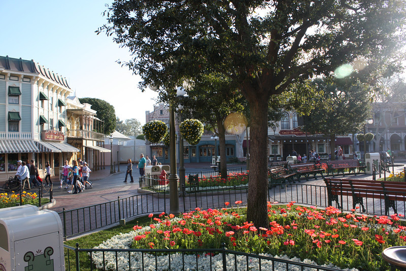 IMG9151-L.jpg