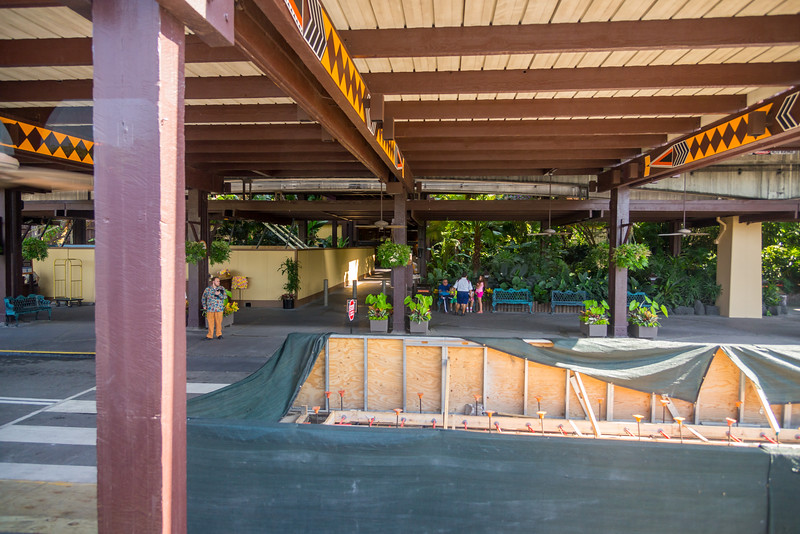 DSC_8704-L.jpg