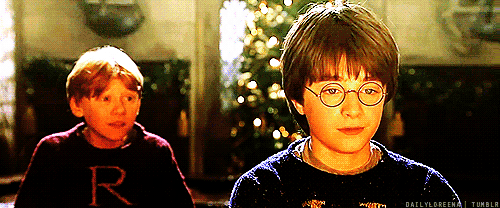 tumblr_louwfwv1c41qe6e2ko1_500.gif