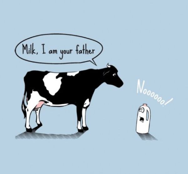 funny-animal-pictures-star-wars-cow.jpg